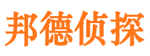 苏仙侦探公司